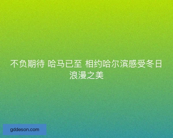 不负期待 哈马已至 相约哈尔滨感受冬日浪漫之美